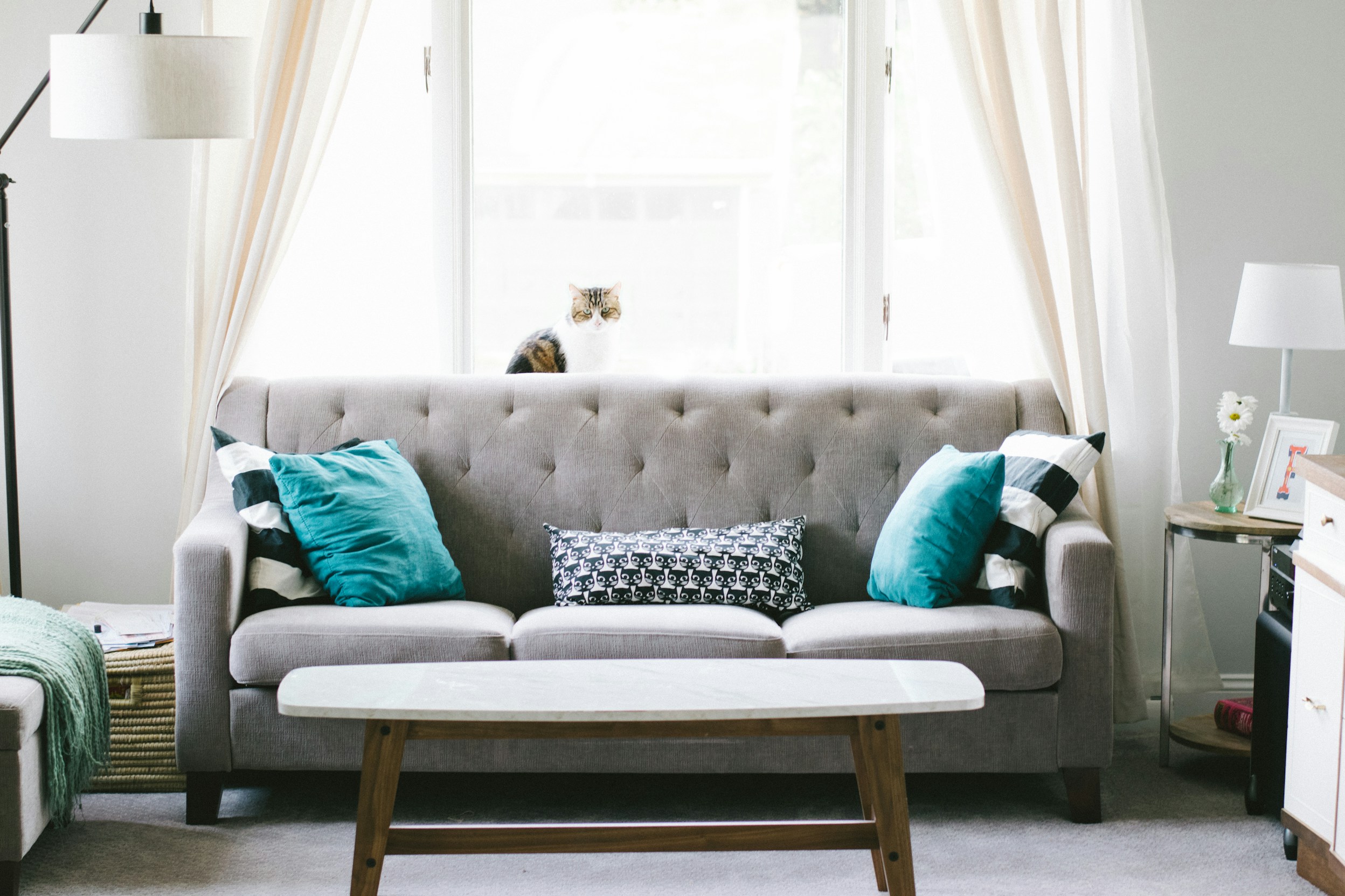 Protected living room furniture